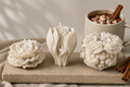 White Cinnamon Collection