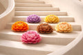 The Lotus Collection