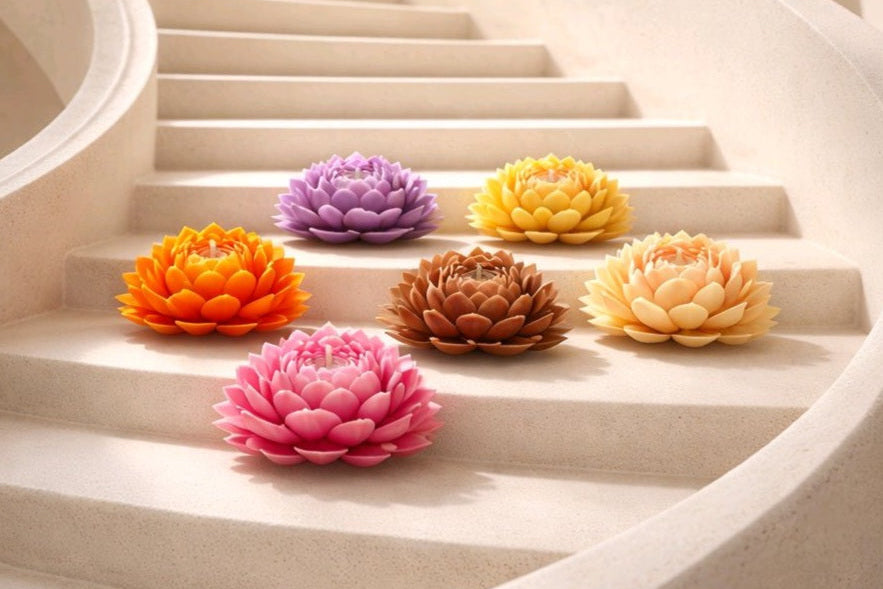 The Lotus Collection