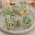 Summer Flower Collection