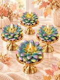 Nature Beauty Collection